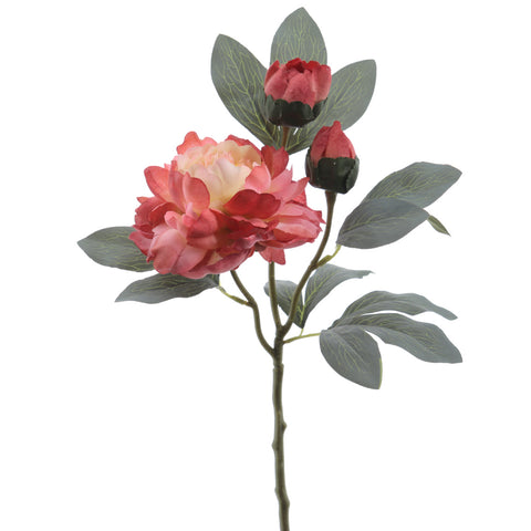 Branca Peònia Siena 64cm