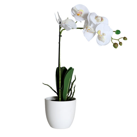 Planta Orquídea Blanca 30x13x45cm