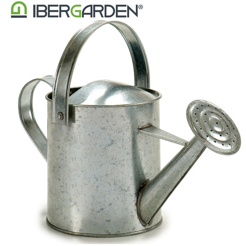 Regadera Zinc