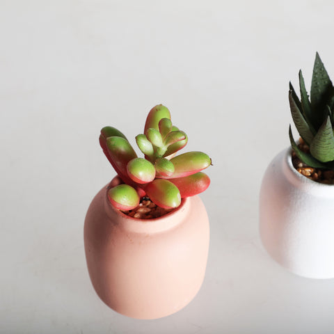 Planta Decorativa Moderna 6x6x13cm