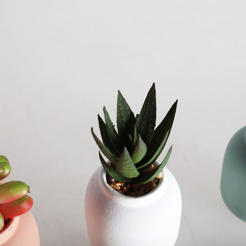 Planta Decorativa Moderna 6x6x13cm