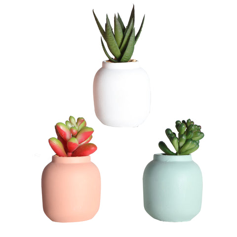 Planta Decorativa Moderna 6x6x13cm