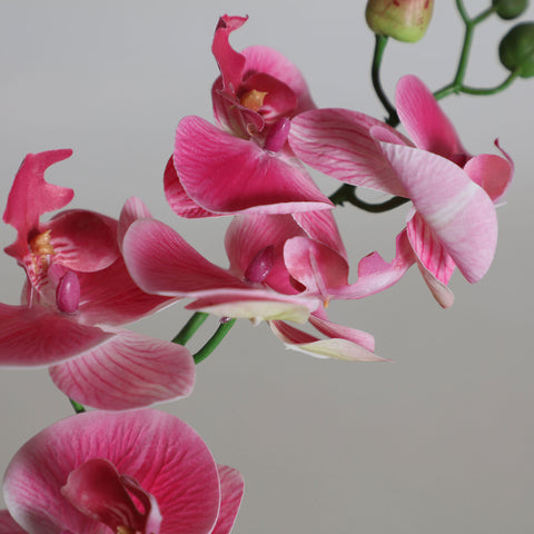 Planta Orquídea Rosa 28x11x38cm