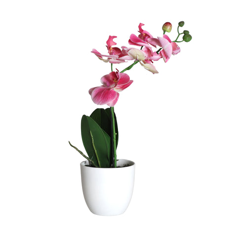 Planta Orquídea Rosa 28x11x38cm