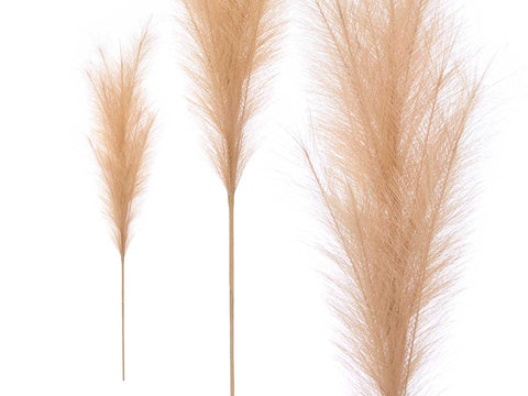 Rama Decorativa 110cm Beige