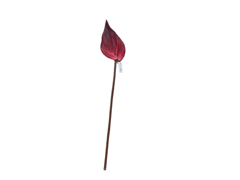 Rama Roja Antihurium 69cm