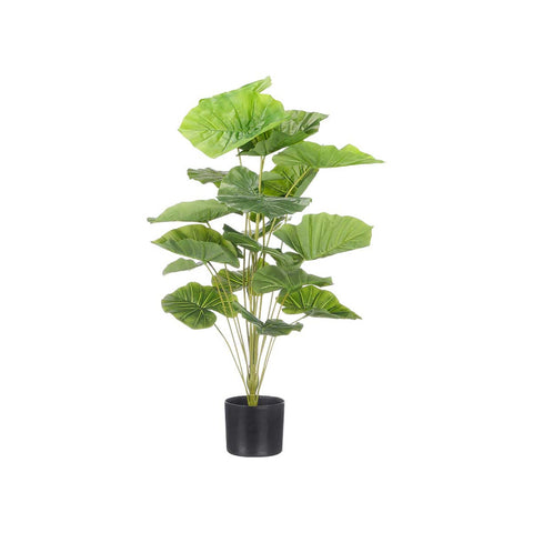 Maceta Planta Hojas Anchas 90cm