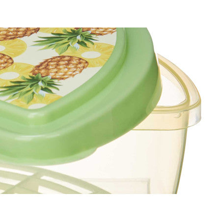 Tupper Fruta Piña y Kiwi 1,2L