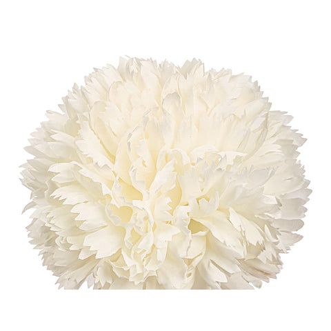Vara Ramo 5 Pompones Blanco 57cm