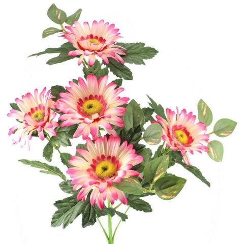 Gerbera x5 Fucsia